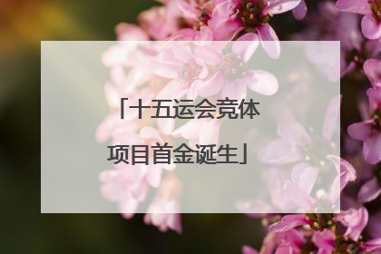 十五运会竞体项目首金诞生
