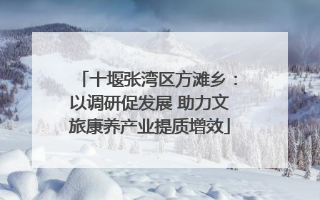 十堰张湾区方滩乡：以调研促发展 助力文旅康养产业提质增效
