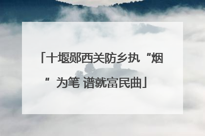 十堰郧西关防乡执“烟”为笔 谱就富民曲