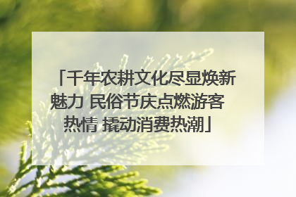 千年农耕文化尽显焕新魅力 民俗节庆点燃游客热情 撬动消费热潮