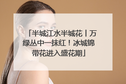 半城江水半城花丨万绿丛中一抹红！冰城锦带花进入盛花期