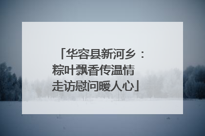 华容县新河乡：粽叶飘香传温情 走访慰问暖人心