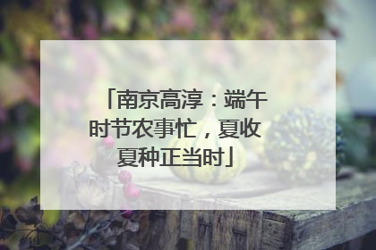 南京高淳：端午时节农事忙，夏收夏种正当时