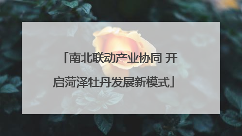 南北联动产业协同 开启菏泽牡丹发展新模式
