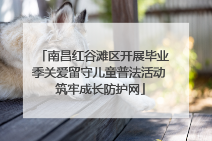 南昌红谷滩区开展毕业季关爱留守儿童普法活动 筑牢成长防护网
