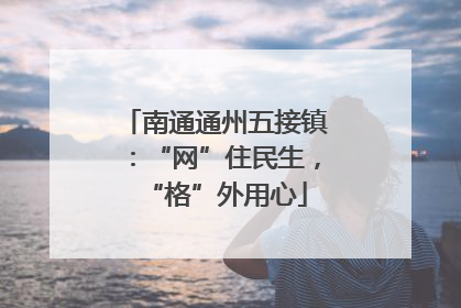 南通通州五接镇：“网”住民生，“格”外用心