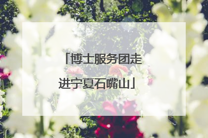 博士服务团走进宁夏石嘴山