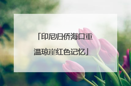 印尼归侨海口重温琼崖红色记忆