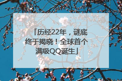 历经22年，谜底终于揭晓！全球首个满级QQ诞生
