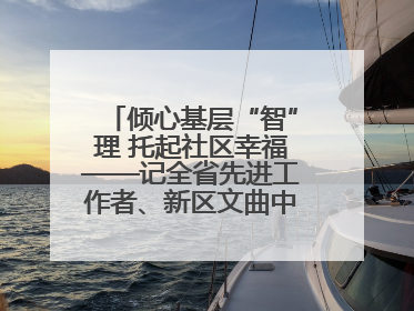 倾心基层“智”理 托起社区幸福——记全省先进工作者、新区文曲中心社区党委书记董世弘