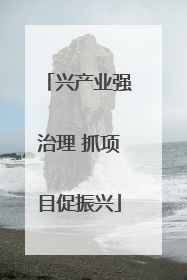 兴产业强治理 抓项目促振兴