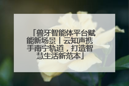兽牙智能体平台赋能新场景丨云知声携手南宁轨道，打造智慧生活新范本
