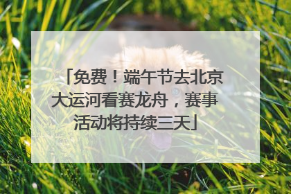 免费！端午节去北京大运河看赛龙舟，赛事活动将持续三天