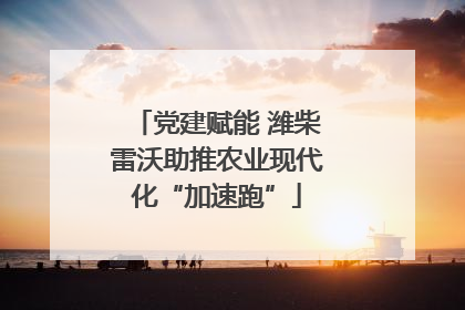 党建赋能 潍柴雷沃助推农业现代化“加速跑”