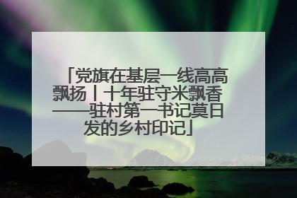 党旗在基层一线高高飘扬丨十年驻守米飘香——驻村第一书记莫日发的乡村印记