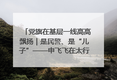 党旗在基层一线高高飘扬｜是民警、是“儿子”——申飞飞在太行山中的一线坚守