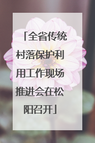 全省传统村落保护利用工作现场推进会在松阳召开