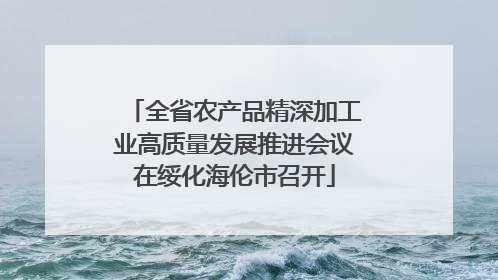 全省农产品精深加工业高质量发展推进会议在绥化海伦市召开