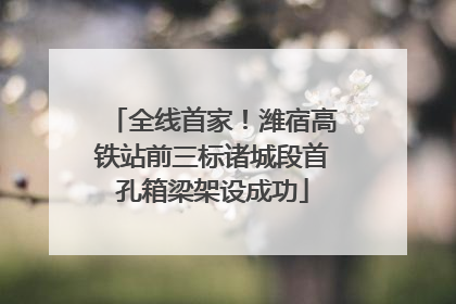 全线首家！潍宿高铁站前三标诸城段首孔箱梁架设成功