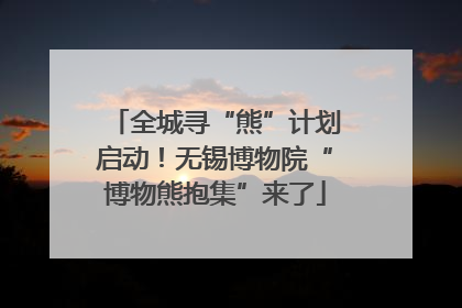 全城寻“熊”计划启动！无锡博物院“博物熊抱集”来了
