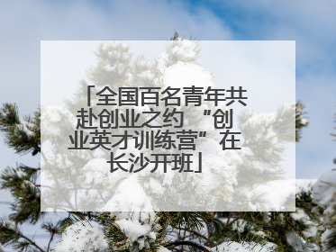 全国百名青年共赴创业之约 “创业英才训练营”在长沙开班