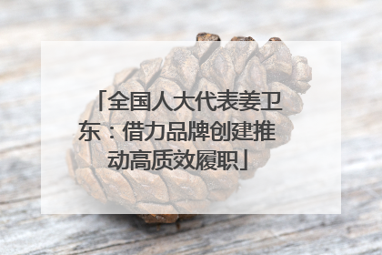 全国人大代表姜卫东：借力品牌创建推动高质效履职