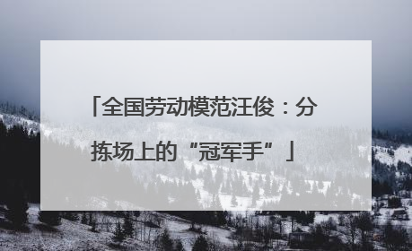 全国劳动模范汪俊：分拣场上的“冠军手”