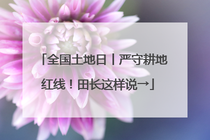 全国土地日丨严守耕地红线！田长这样说→