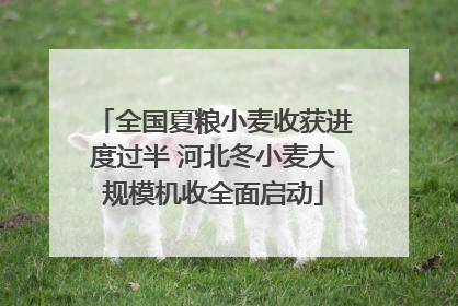 全国夏粮小麦收获进度过半 河北冬小麦大规模机收全面启动