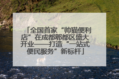 全国首家“帅猫便利店”在成都郫都区盛大开业——打造“一站式便民服务”新标杆