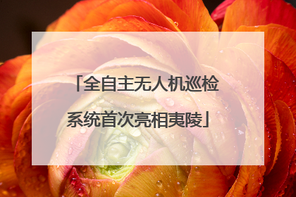 全自主无人机巡检系统首次亮相夷陵