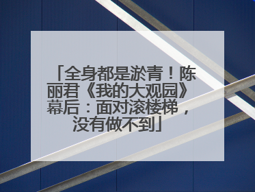 全身都是淤青！陈丽君《我的大观园》幕后：面对滚楼梯，没有做不到