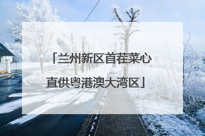 兰州新区首茬菜心直供粤港澳大湾区