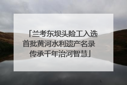 兰考东坝头险工入选首批黄河水利遗产名录 传承千年治河智慧