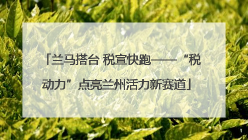 兰马搭台 税宣快跑——“税动力”点亮兰州活力新赛道