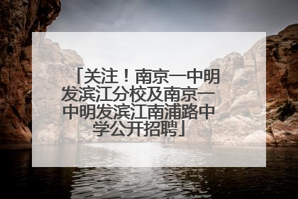 关注！南京一中明发滨江分校及南京一中明发滨江南浦路中学公开招聘