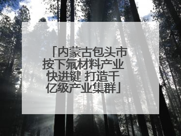 内蒙古包头市按下氟材料产业快进键 打造千亿级产业集群