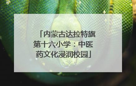 内蒙古达拉特旗第十六小学：中医药文化浸润校园