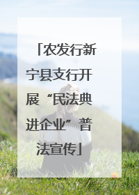 农发行新宁县支行开展“民法典进企业”普法宣传