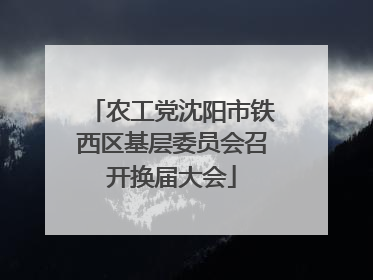 农工党沈阳市铁西区基层委员会召开换届大会