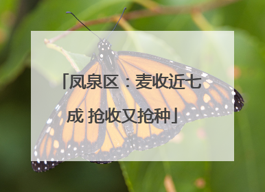凤泉区：麦收近七成 抢收又抢种