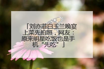 刘亦菲白玉兰晚宴上菜先拍照，网友：原来明星吃饭也是手机“先吃”