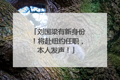 刘国梁有新身份！将赴纽约任职，本人发声！