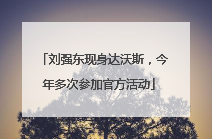 刘强东现身达沃斯，今年多次参加官方活动