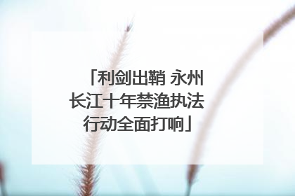 利剑出鞘 永州长江十年禁渔执法行动全面打响
