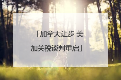 加拿大让步 美加关税谈判重启
