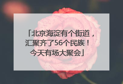 北京海淀有个街道，汇聚齐了56个民族！今天有场大聚会
