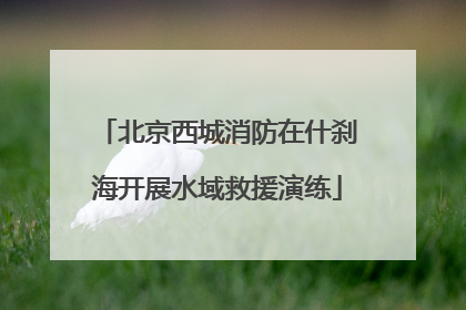 北京西城消防在什刹海开展水域救援演练