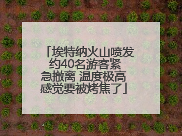 埃特纳火山喷发 约40名游客紧急撤离 温度极高感觉要被烤焦了