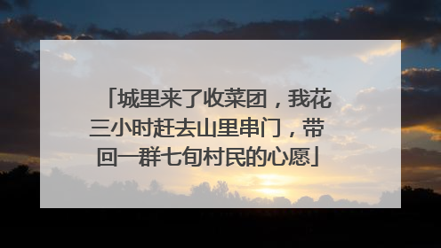 城里来了收菜团，我花三小时赶去山里串门，带回一群七旬村民的心愿